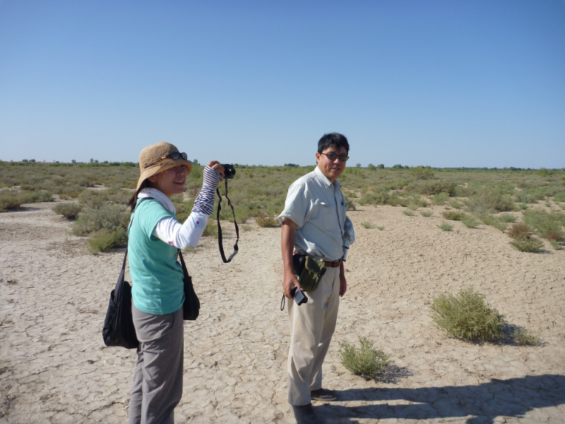塩類集積地での植物調査|写真で辿る100年