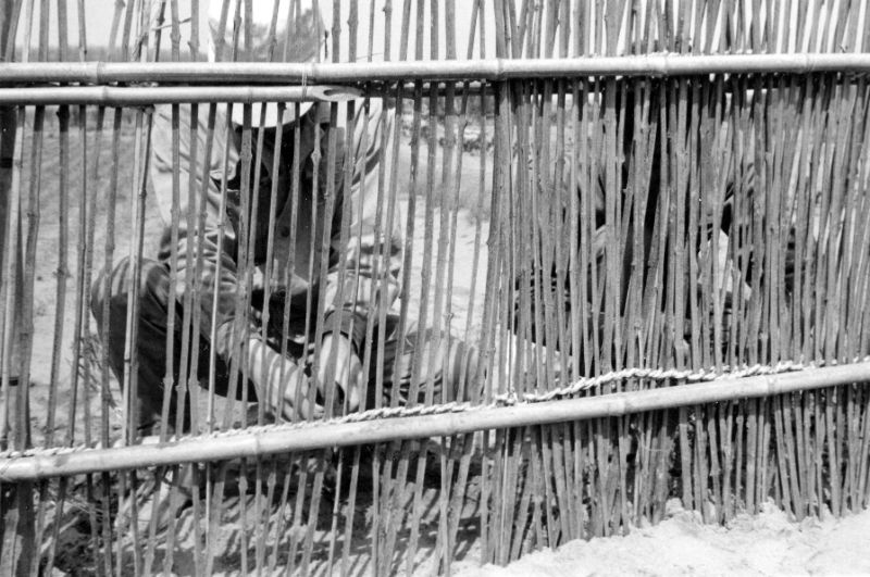 1966年　静砂垣の設置作業