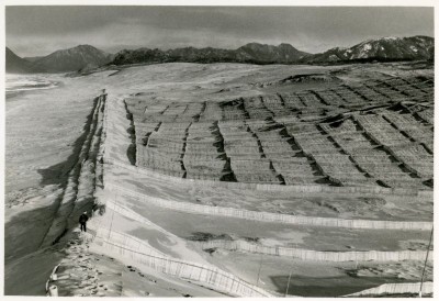 堆砂垣と静砂垣及び松の植栽