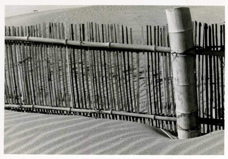 竹簀垣による砂防