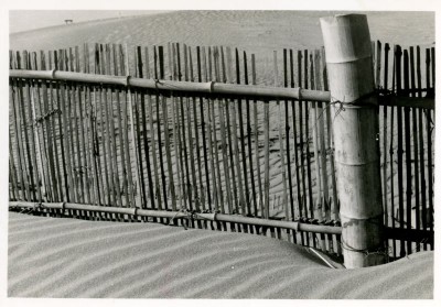 竹簀垣による砂防