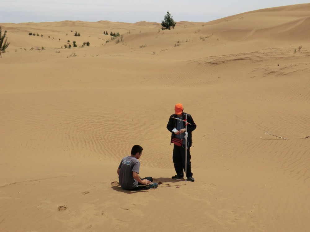 砂漠で調査する鳥取大学学生