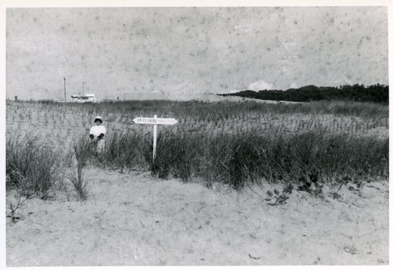 アメリカから導入したアメリカンーチグラスによる飛砂防止試験