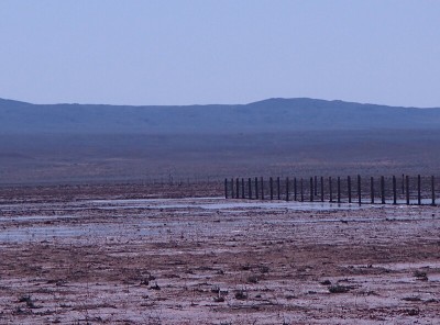 窪地1：沼地になっている様子