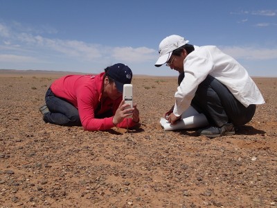 調査・観測2：土壌硬度測定の様子