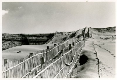 堆砂垣と静砂垣及び松の植栽