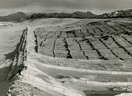 1砂丘利用研究施設での砂丘固定、砂防造林技術研究