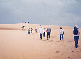14中国毛烏素沙地に生育する木本植物の生理生態研究