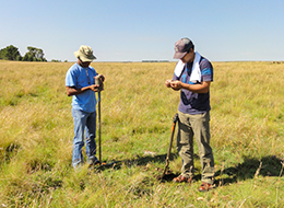 29南アフリカにおける植生調査