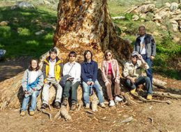 32アメリカ乾燥地植物の浸透調整能調査