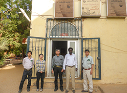 43スーダンにおけるマメ科樹木プロソピスの調査