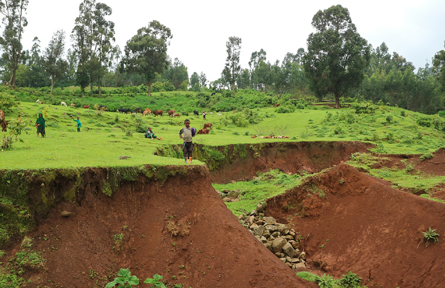 ガリ侵食（エチオピアSATREPS）